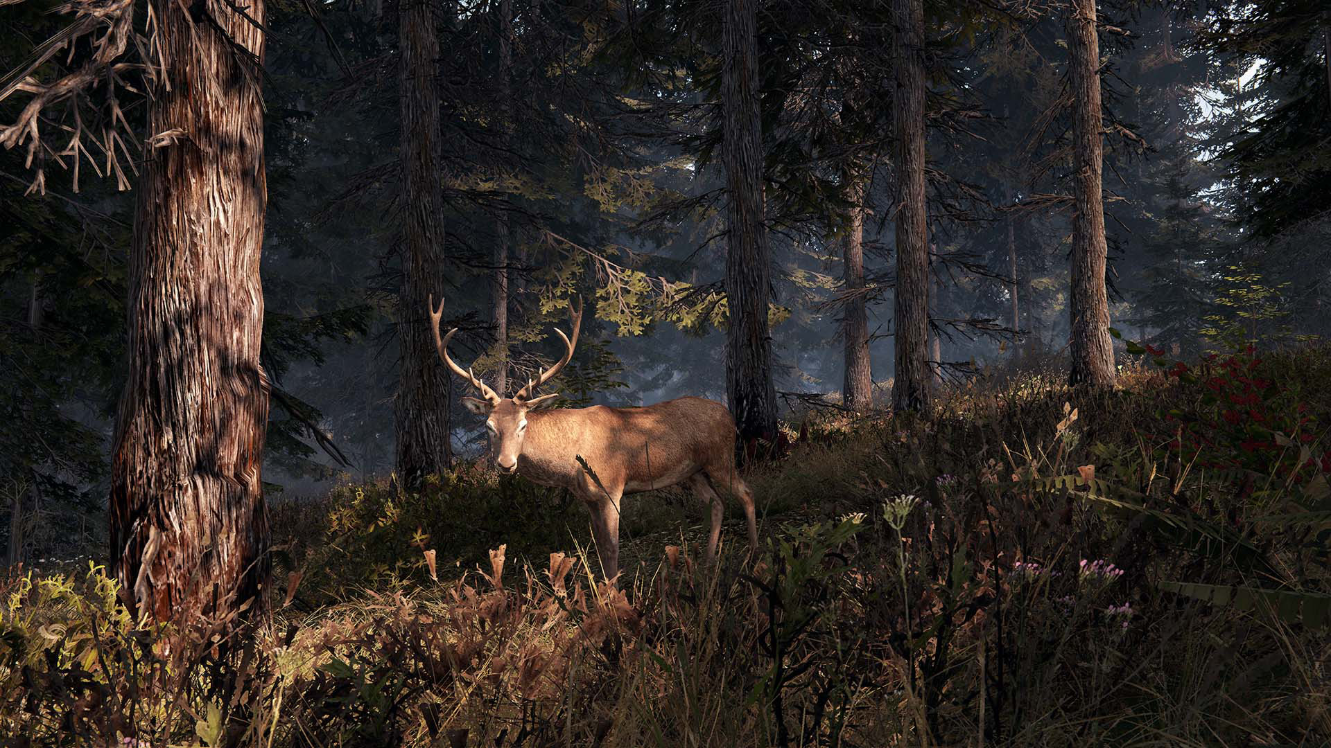 图片[13]-这是我的土地|This Land Is My Land|1.0.3.19014|整合全DLC-萌芽游戏