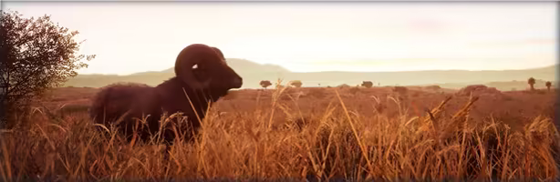 图片[2]-模拟狩猎2|Hunting Simulator 2|1.0.0.311|整合全DLC-萌芽游戏
