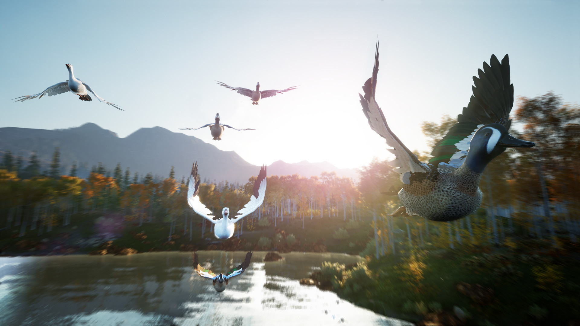 图片[8]-模拟狩猎2|Hunting Simulator 2|1.0.0.311|整合全DLC-萌芽游戏