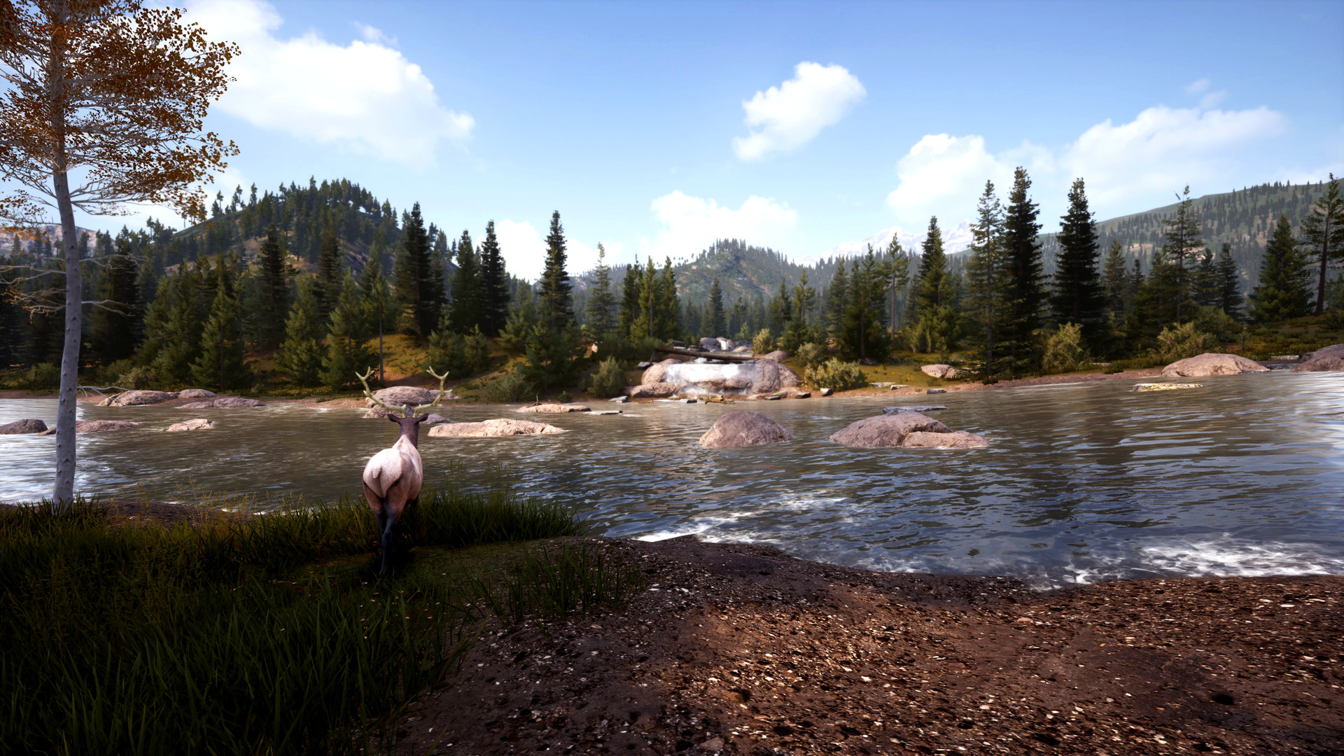 图片[9]-模拟狩猎2|Hunting Simulator 2|1.0.0.311|整合全DLC-萌芽游戏