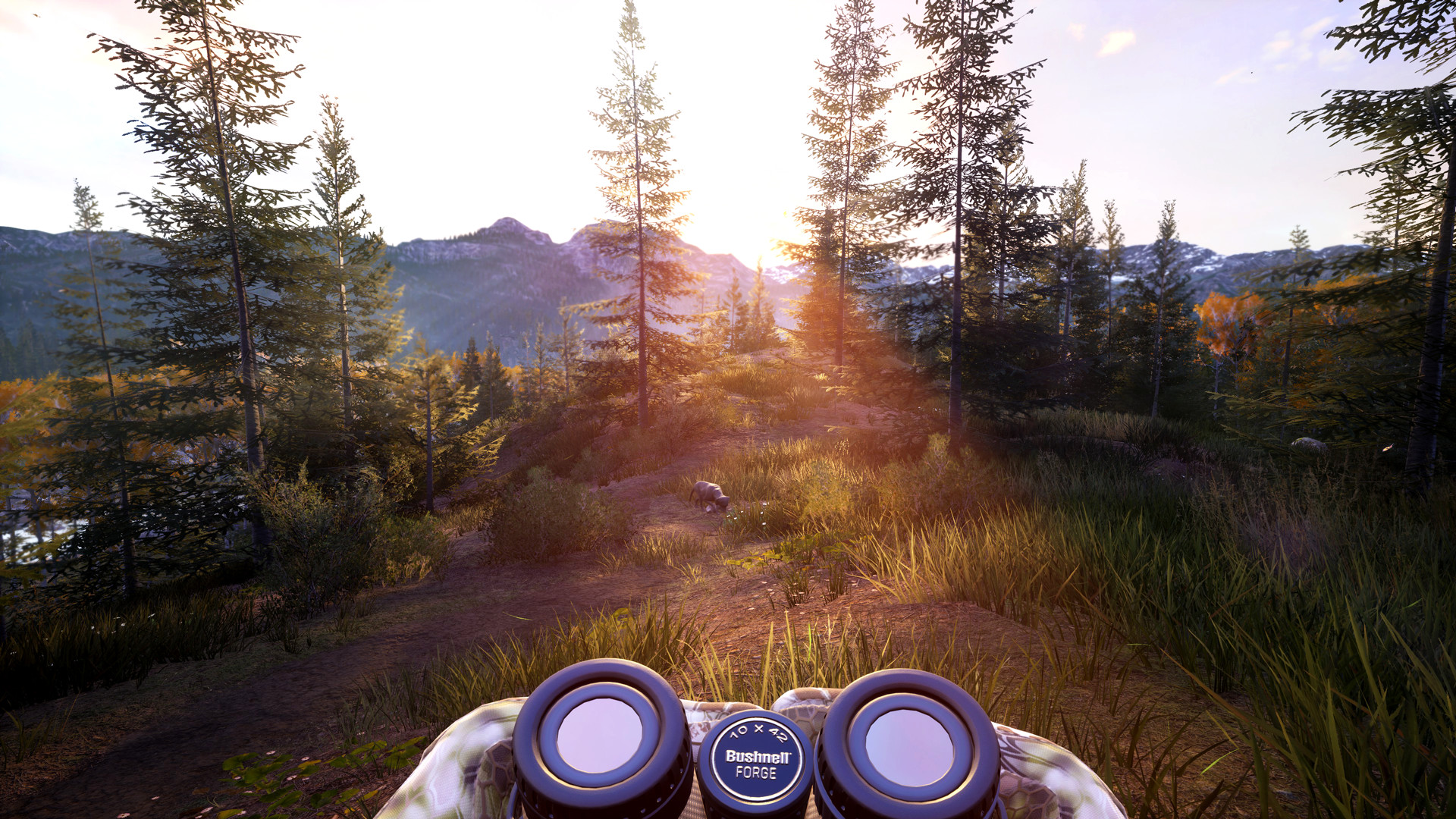 图片[13]-模拟狩猎2|Hunting Simulator 2|1.0.0.311|整合全DLC-萌芽游戏