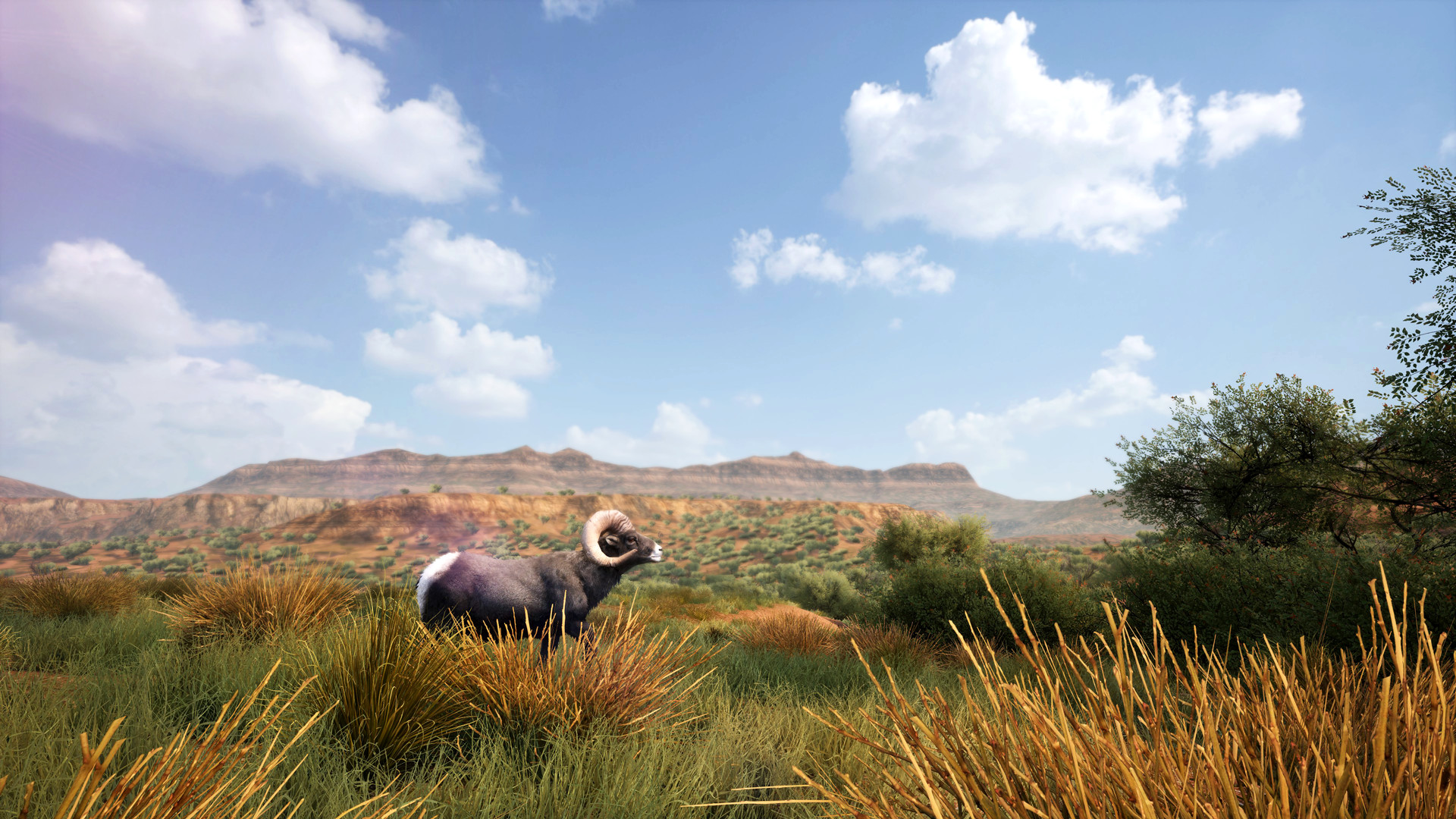 图片[12]-模拟狩猎2|Hunting Simulator 2|1.0.0.311|整合全DLC-萌芽游戏