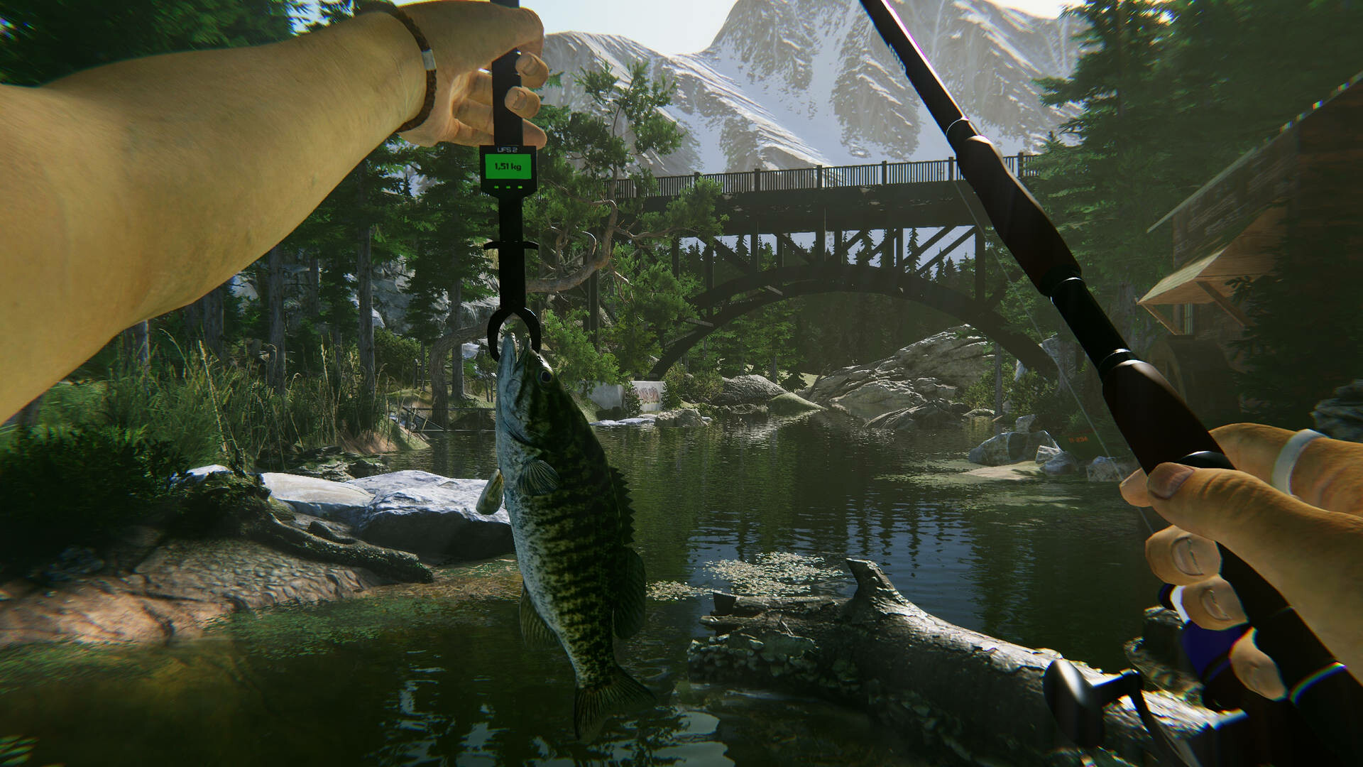图片[3]-终极钓鱼模拟器2|Ultimate Fishing Simulator 2|1.25.06.16|整合DLC-萌芽游戏
