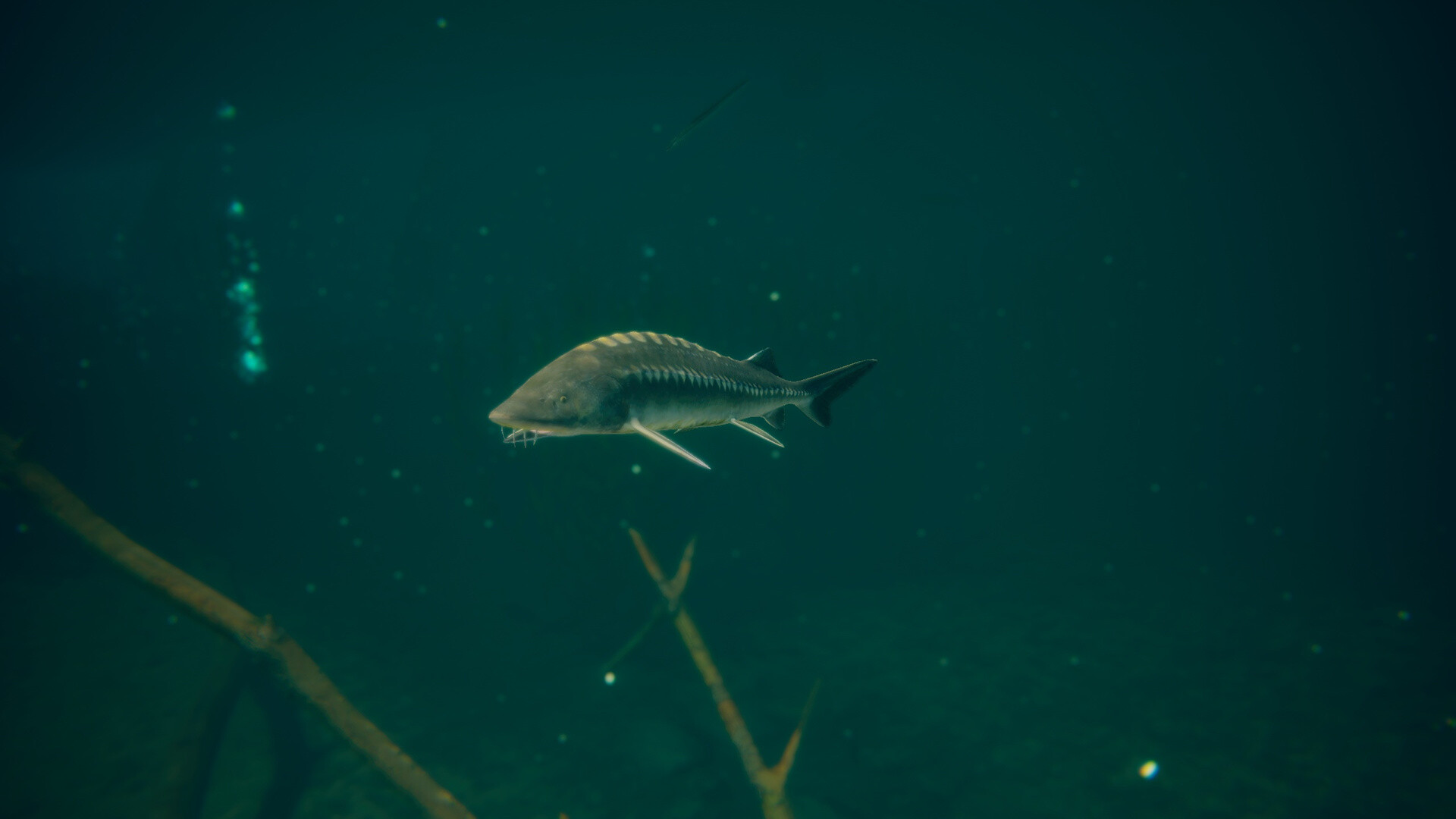 图片[18]-终极钓鱼模拟器2|Ultimate Fishing Simulator 2|1.25.06.16|整合DLC-萌芽游戏