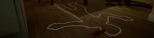 图片[1]-重返犯罪现场|Scene Investigators|Build16448108|整合DLC-萌芽游戏