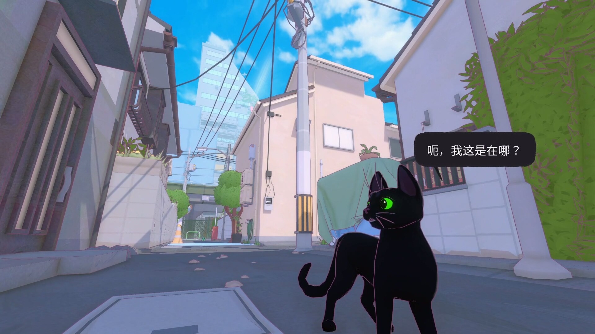 小猫咪大城市 Little Kitty, Big City 截图 1