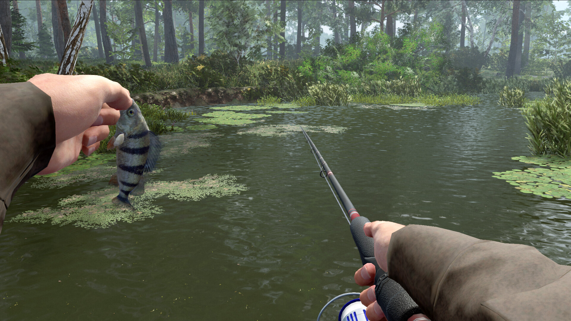 图片[5]-专业钓鱼2|Professional Fishing 2|2.0.0.18.03.26-萌芽游戏