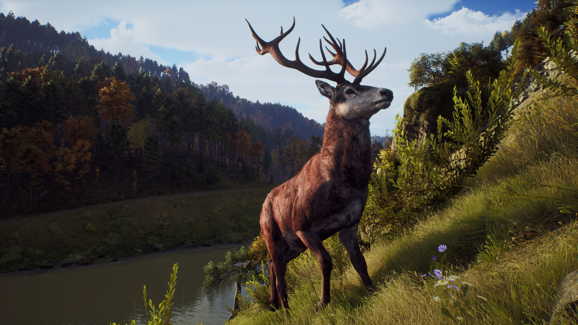 图片[21]-狩猎之道|Way of The Hunter|1.31|整合全DLC-萌芽游戏