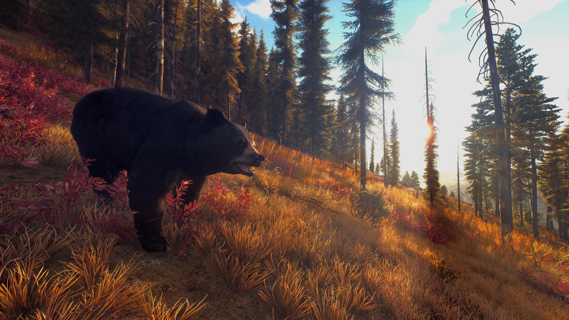 图片[11]-狩猎之道|Way of The Hunter|1.31|整合全DLC-萌芽游戏