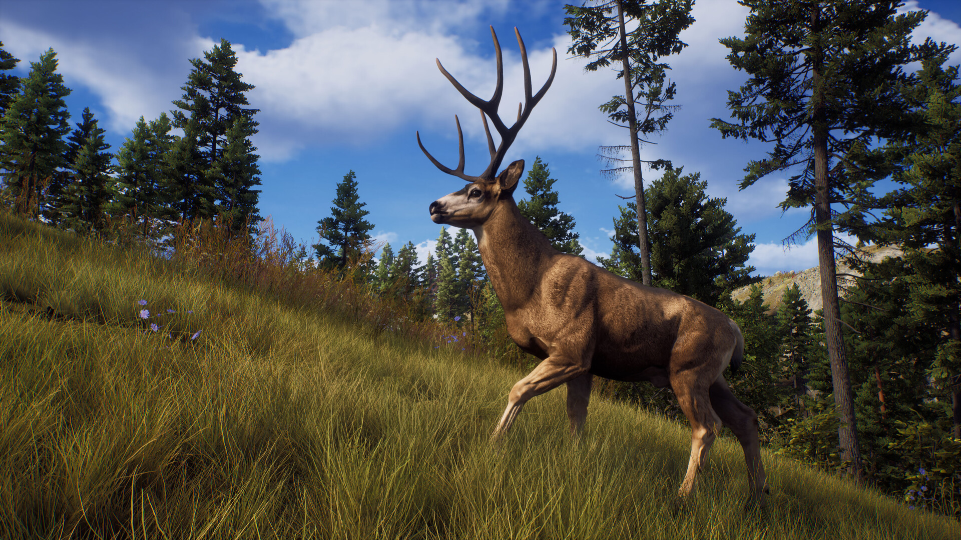 图片[23]-狩猎之道|Way of The Hunter|1.31|整合全DLC-萌芽游戏