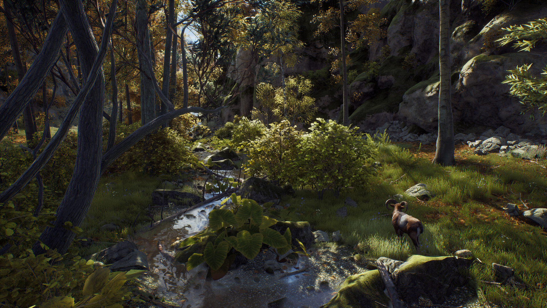 图片[19]-狩猎之道|Way of The Hunter|1.31|整合全DLC-萌芽游戏