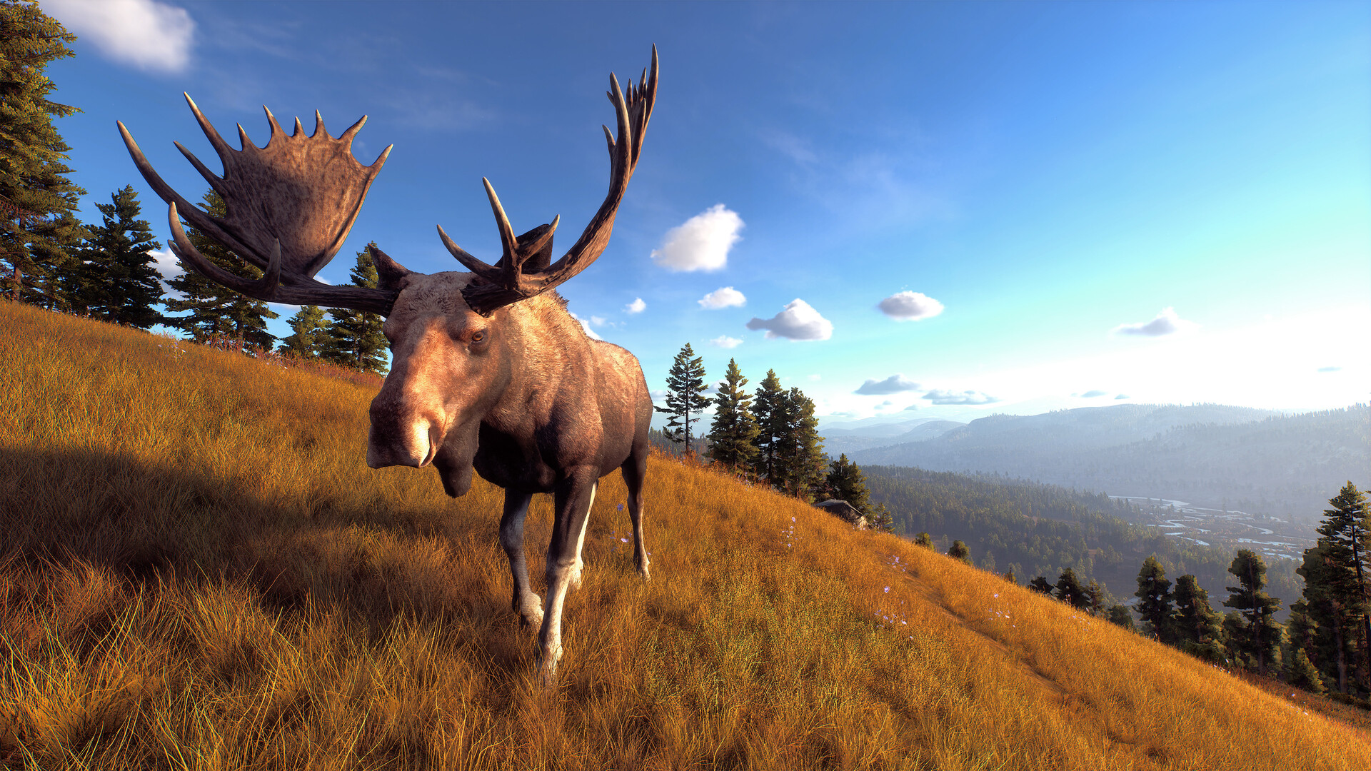 图片[7]-狩猎之道|Way of The Hunter|1.31|整合全DLC-萌芽游戏