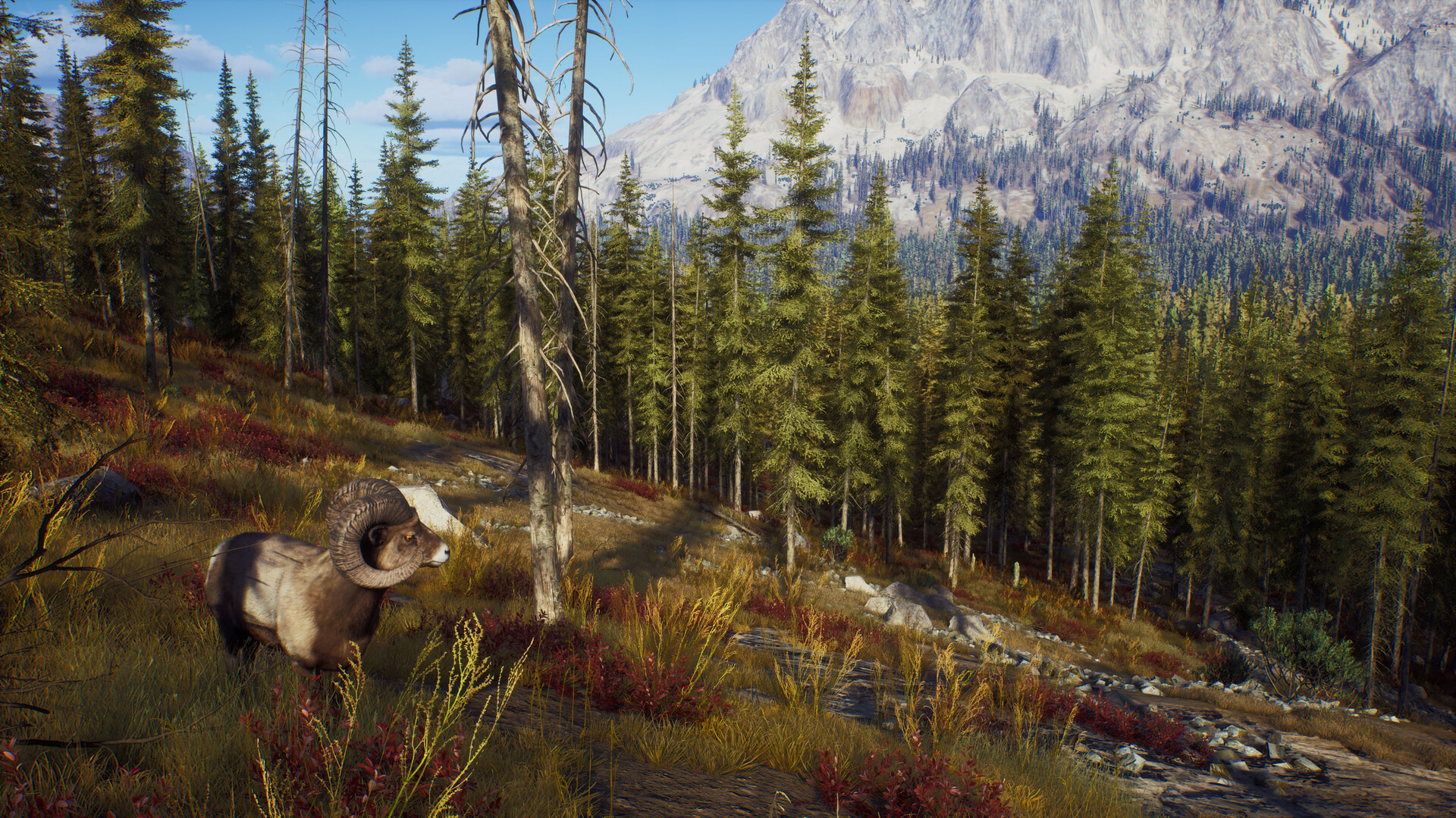 图片[13]-狩猎之道|Way of The Hunter|1.31|整合全DLC-萌芽游戏
