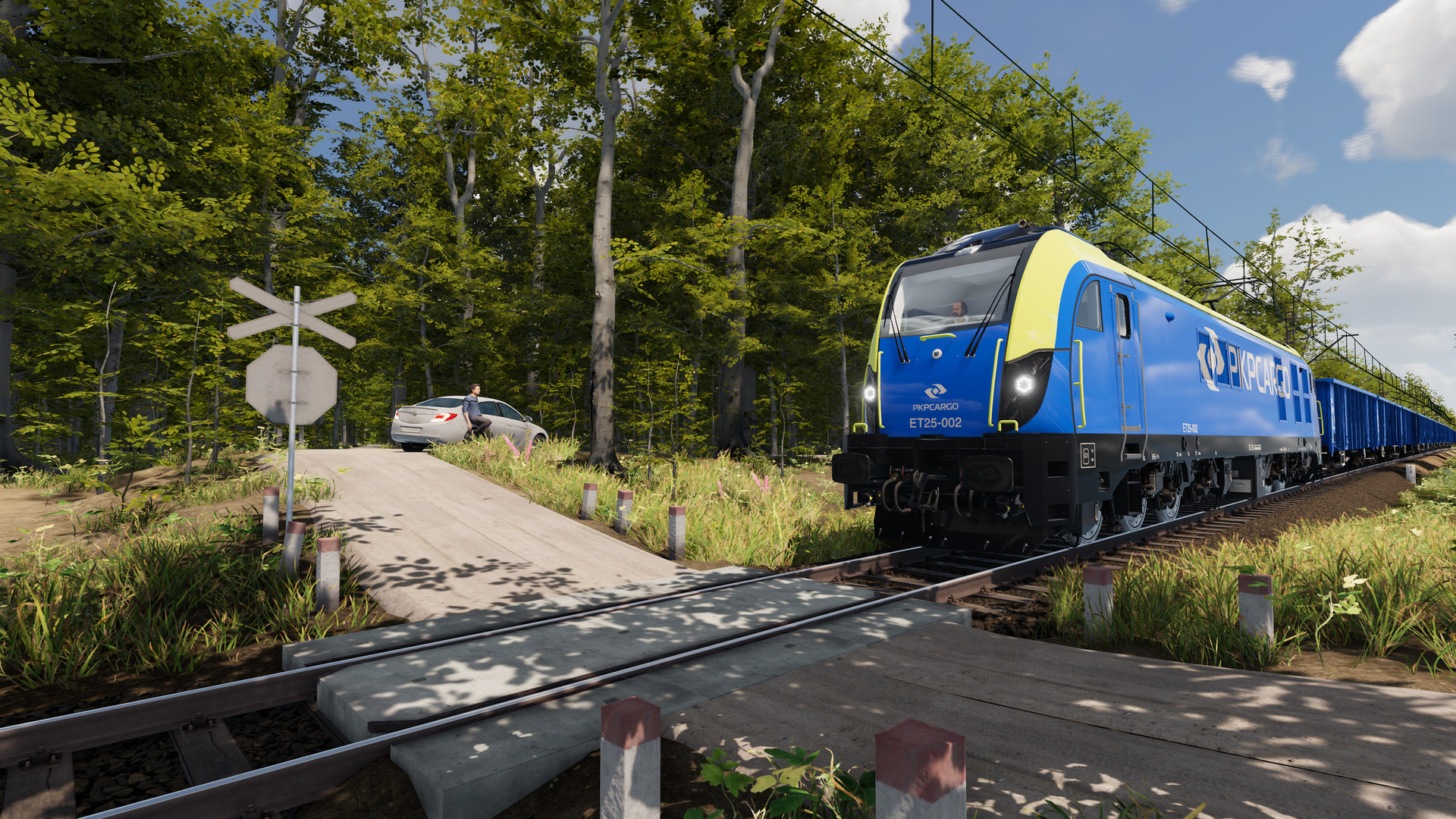 图片[19]-模拟铁路：铁路模拟器|SimRail – The Railway Simulator|17.04.2026|整合全DLC-萌芽游戏