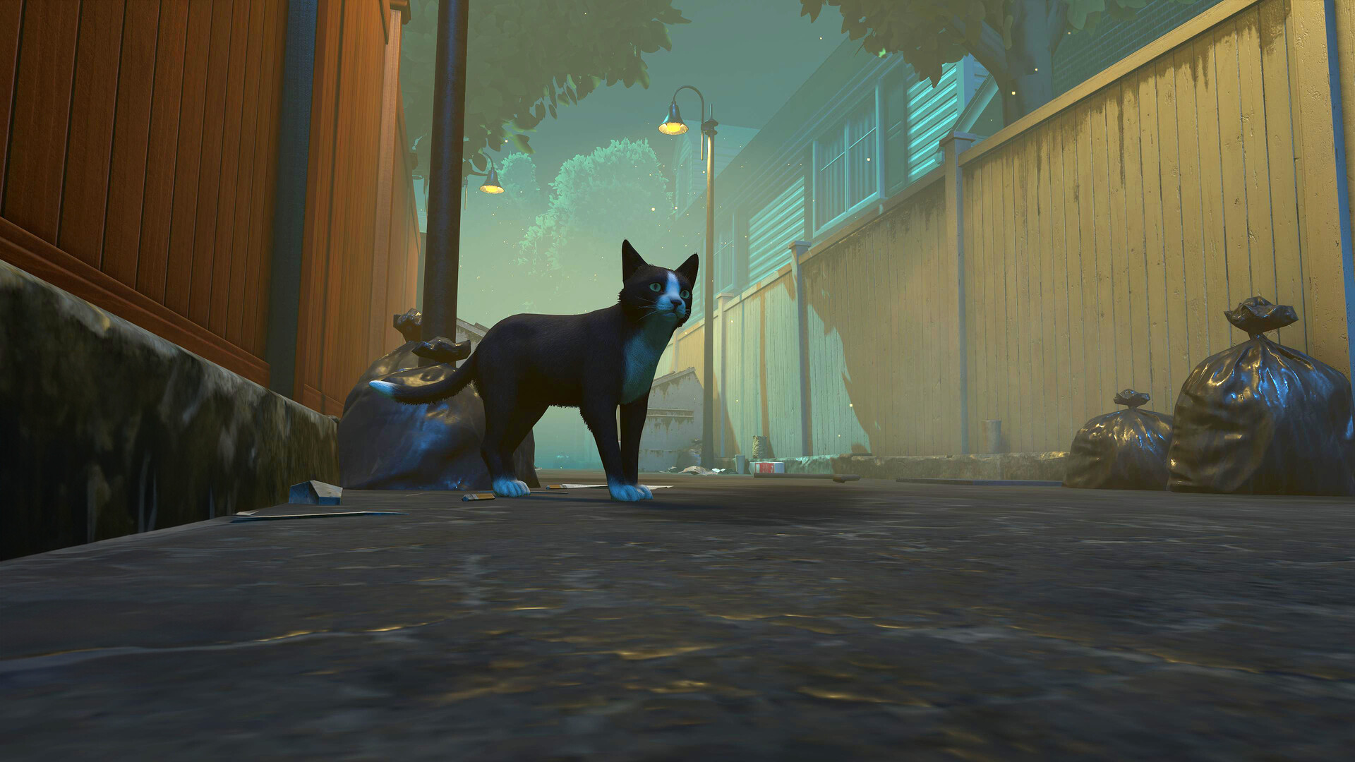 图片[1]-冒牌猫谜|Copycat|1.0.6-萌芽游戏