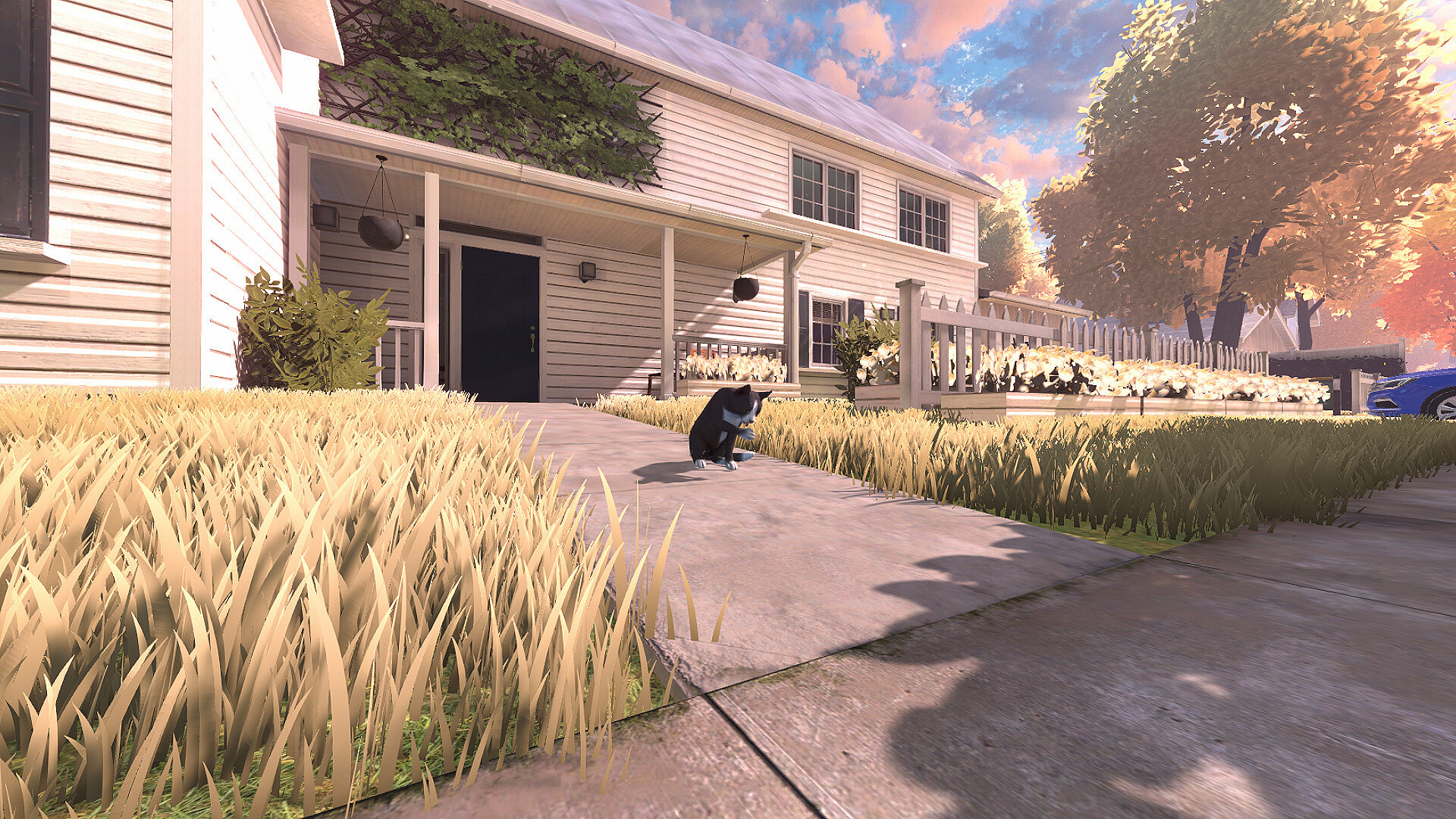 图片[9]-冒牌猫谜|Copycat|1.0.6-萌芽游戏