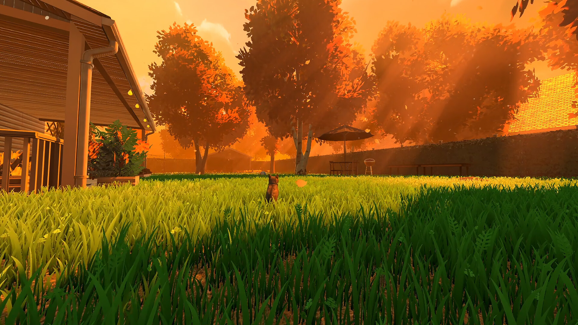 图片[5]-冒牌猫谜|Copycat|1.0.6-萌芽游戏