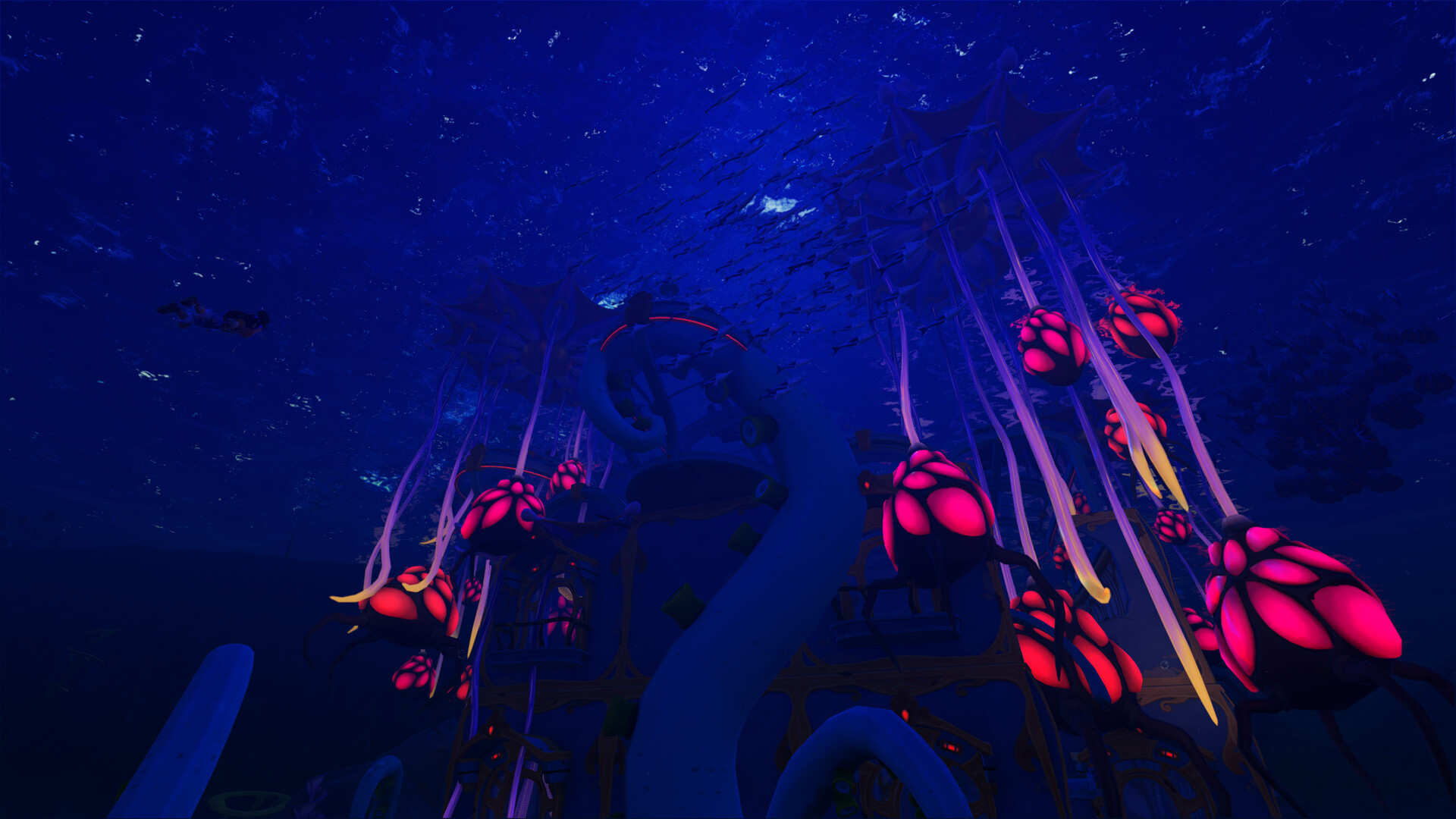 Critter Cove 截图 8