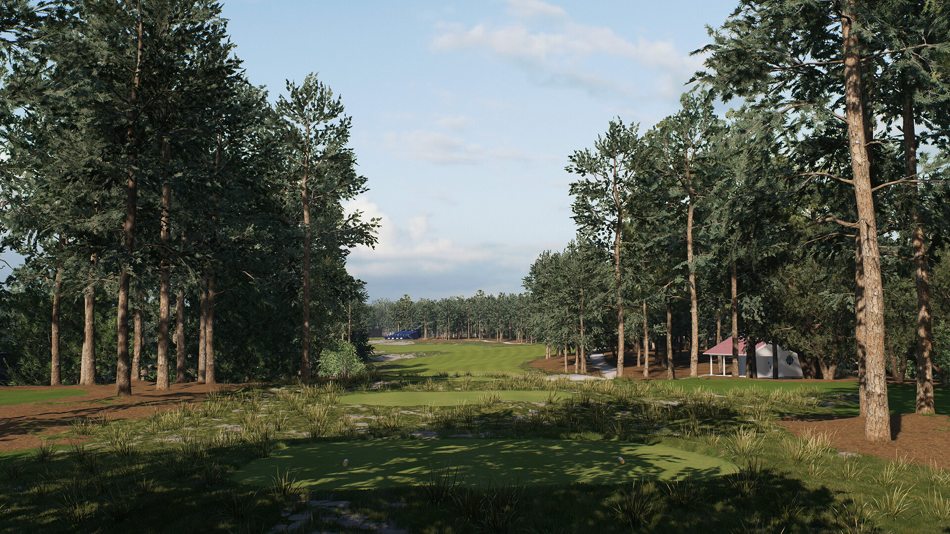图片[8]-[虚拟机版]美国职业高尔夫巡回赛|EA Sports PGA Tour|1.0.3.53615英文版|整合全DLC-萌芽游戏