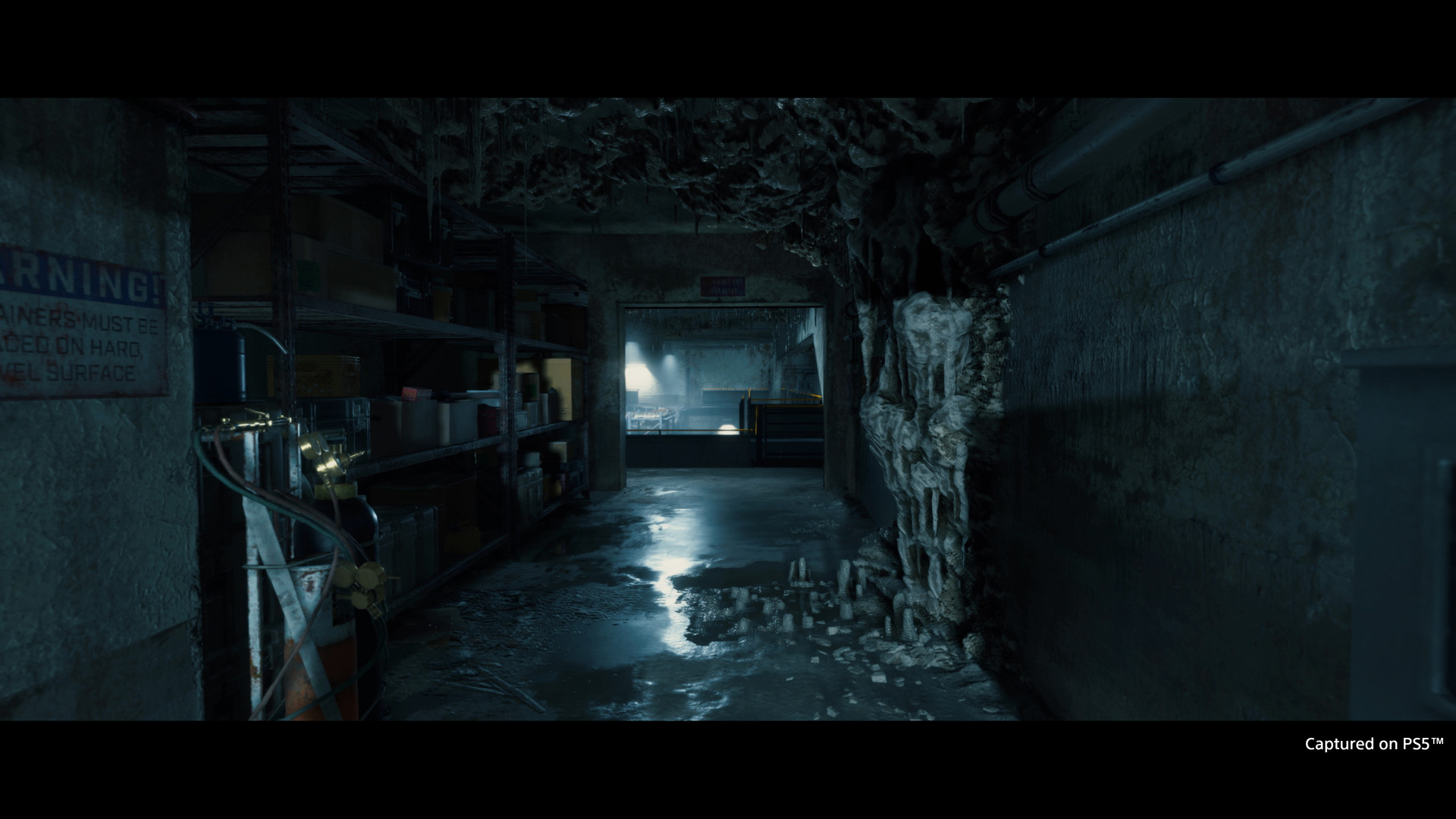 图片[17]-死亡搁浅：导演剪辑版|Death Stranding Directors Cut|1.004-萌芽游戏