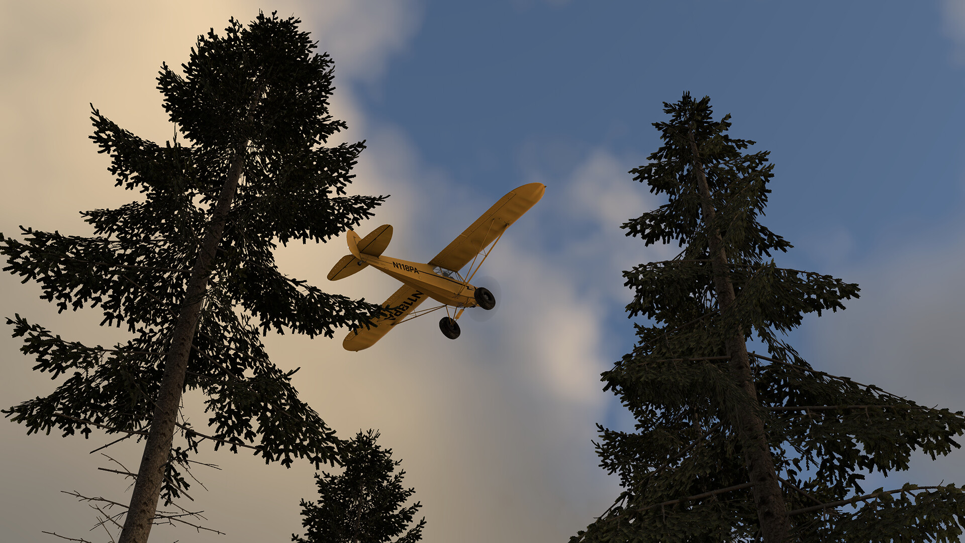 X-Plane 12 截图 19