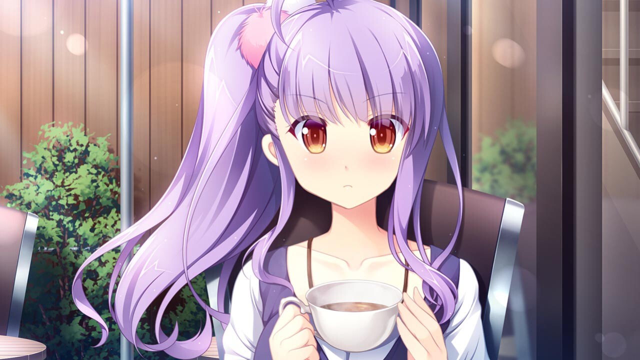 图片[11]-[PC/KR/汉化]交汇协奏曲 / クロスコンチェルト 本体+全CG存档-Angelmoe