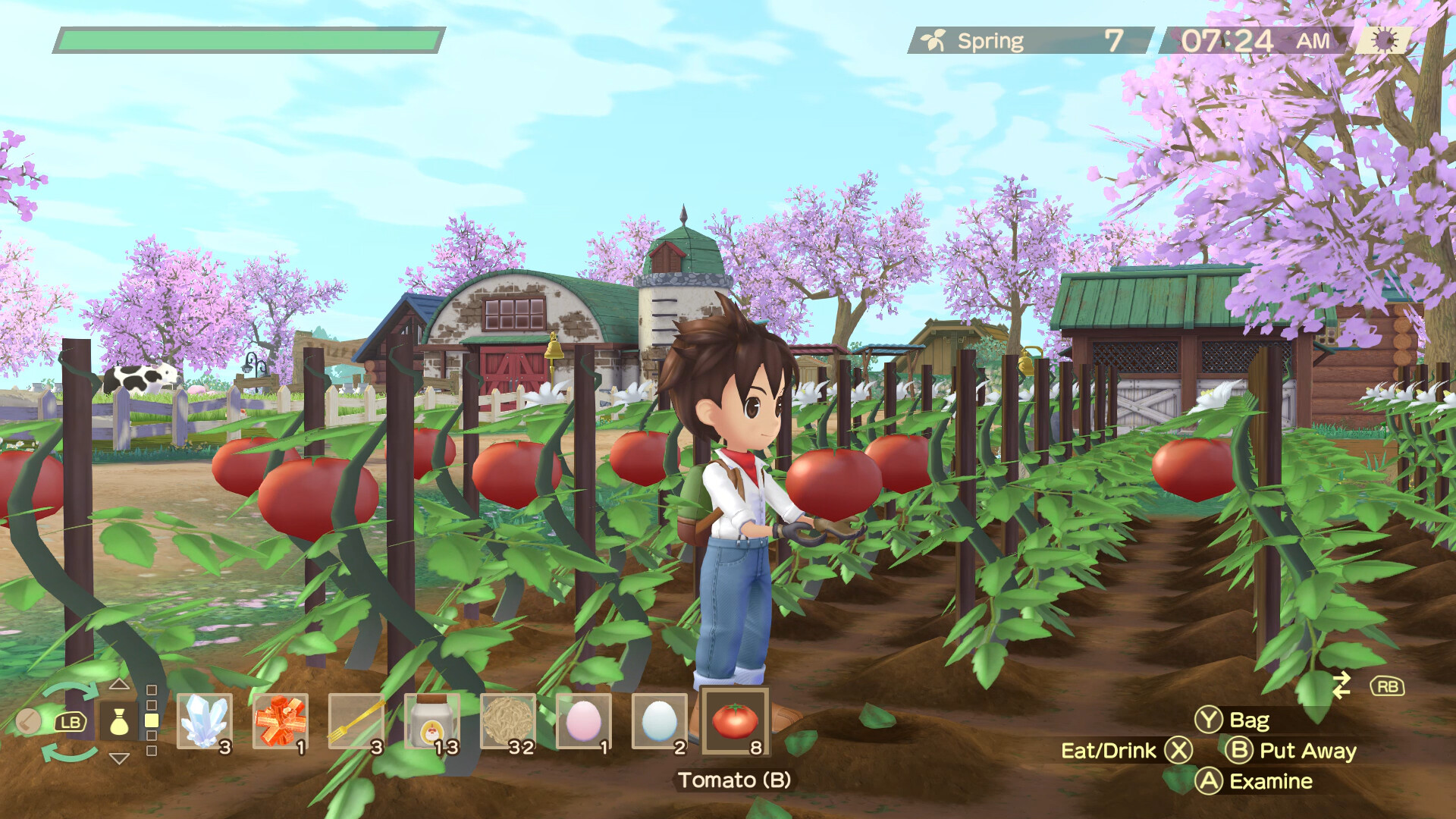 图片[7]-牧场物语 Welcome！美丽人生|Story of Seasons A Wonderful Life|1.0.1|整合全DLC-萌芽游戏