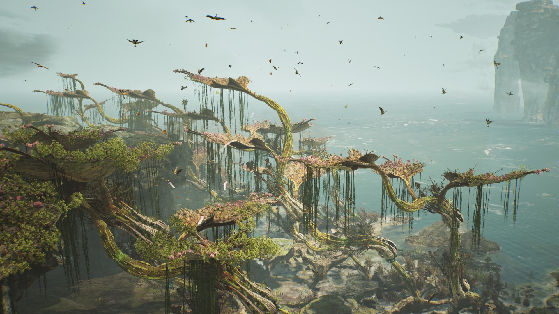 阿加斯巴之塔 奇幻生态景观