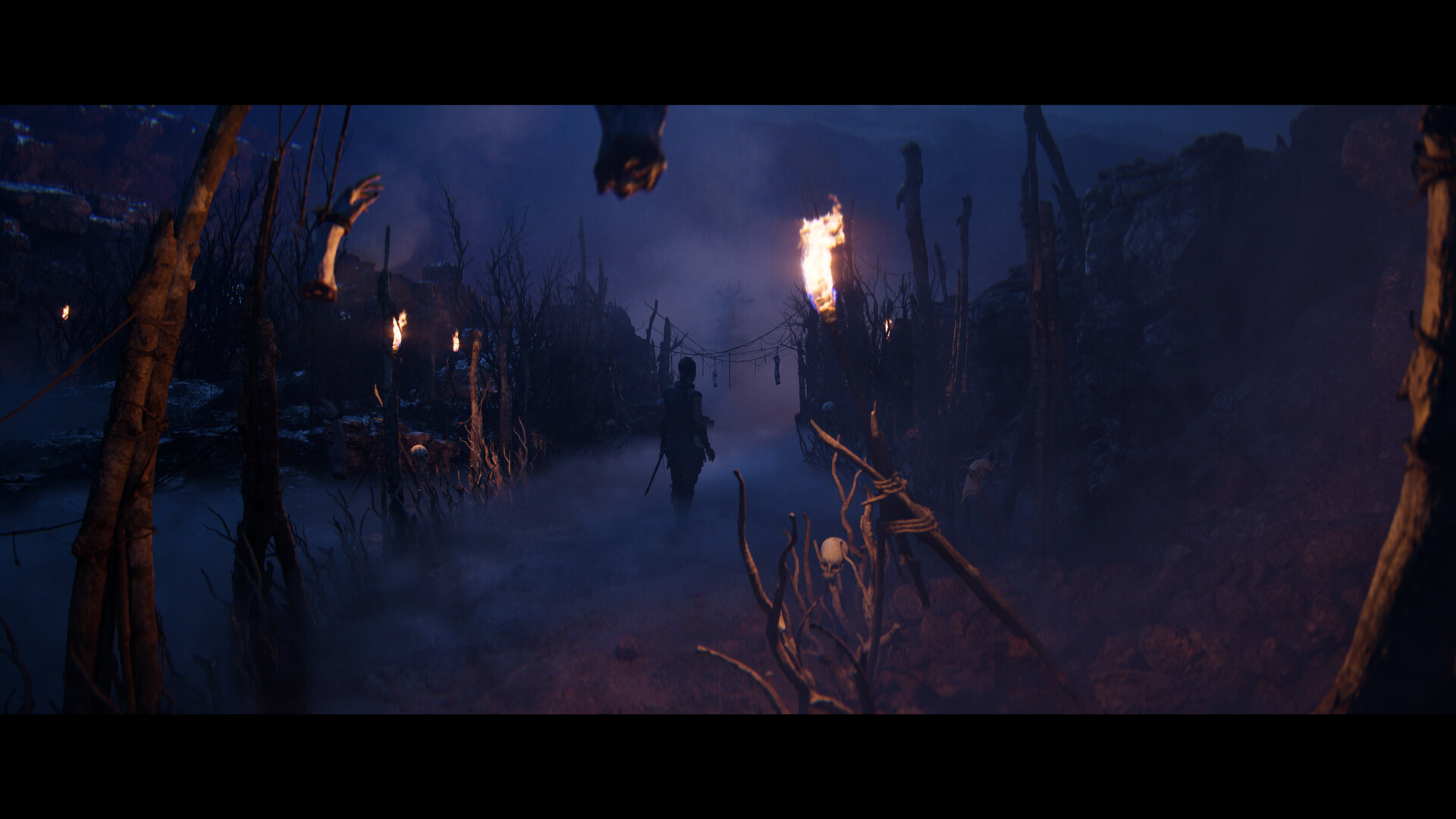 图片[3]-地狱之刃2：塞娜的史诗|Senuas Saga Hellblade II|266716-萌芽游戏