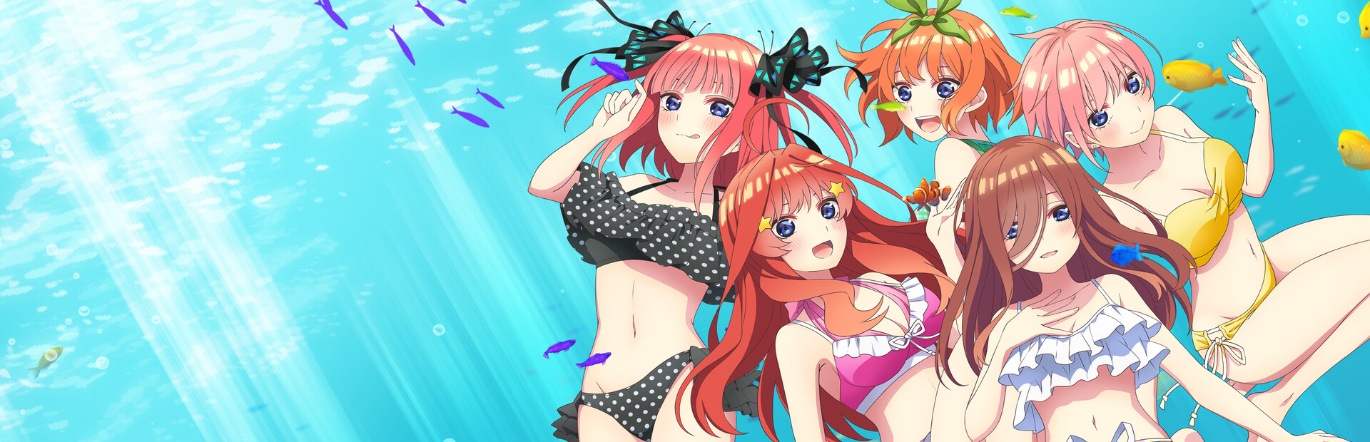 五等分的新娘 ～夏日回忆也是五等分～ / 五等分の花嫁∬ ～夏の思い出も五等分～