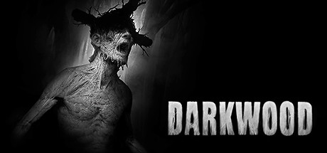 阴暗森林|Darkwood|1.4-萌芽游戏
