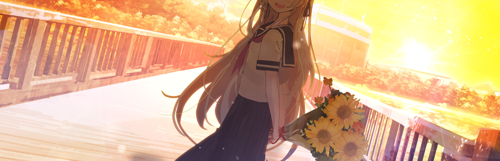 背阴的日葵 / 日陰の日葵 - sun in the shade