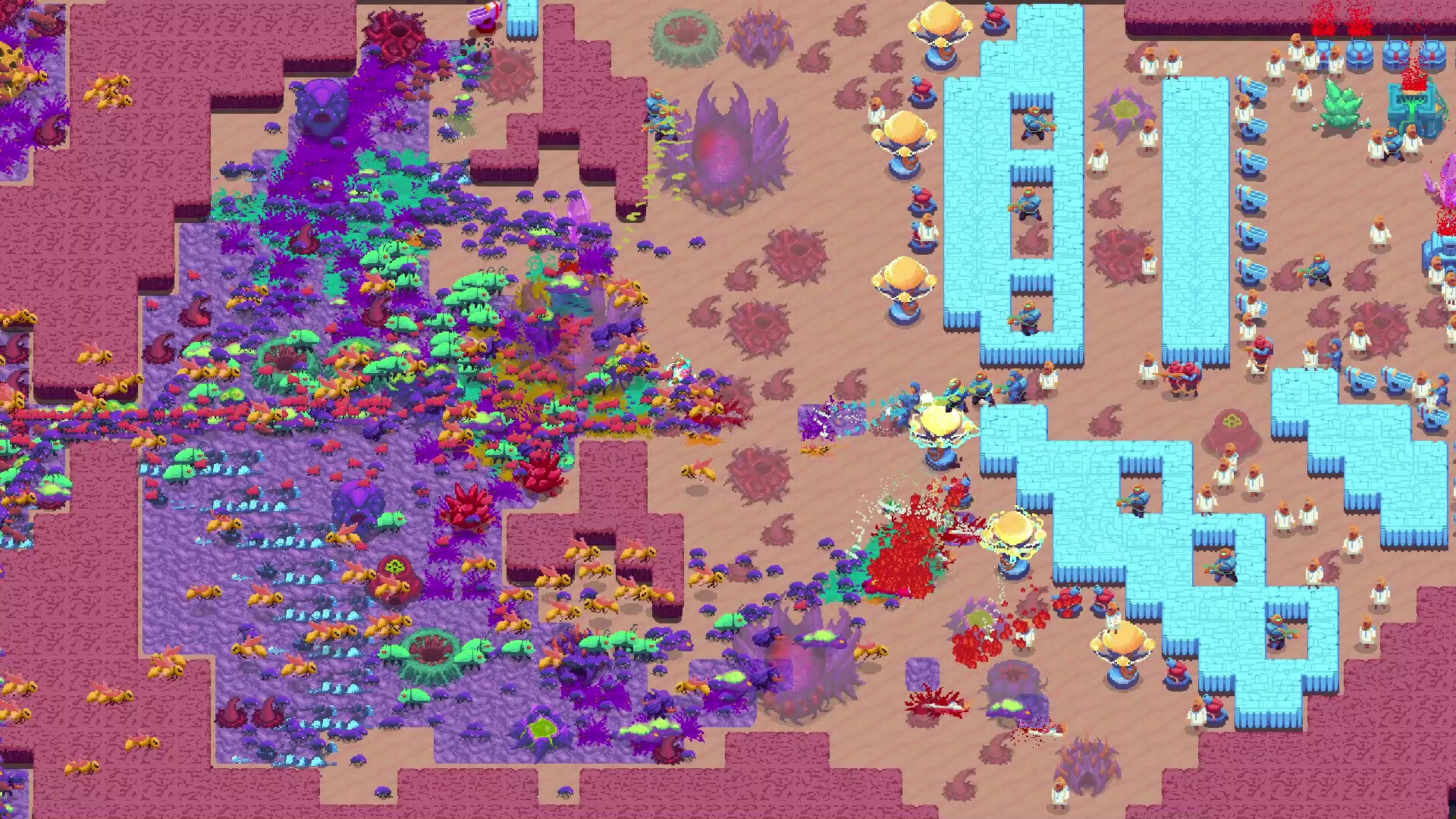 Buggos 2 截图 2