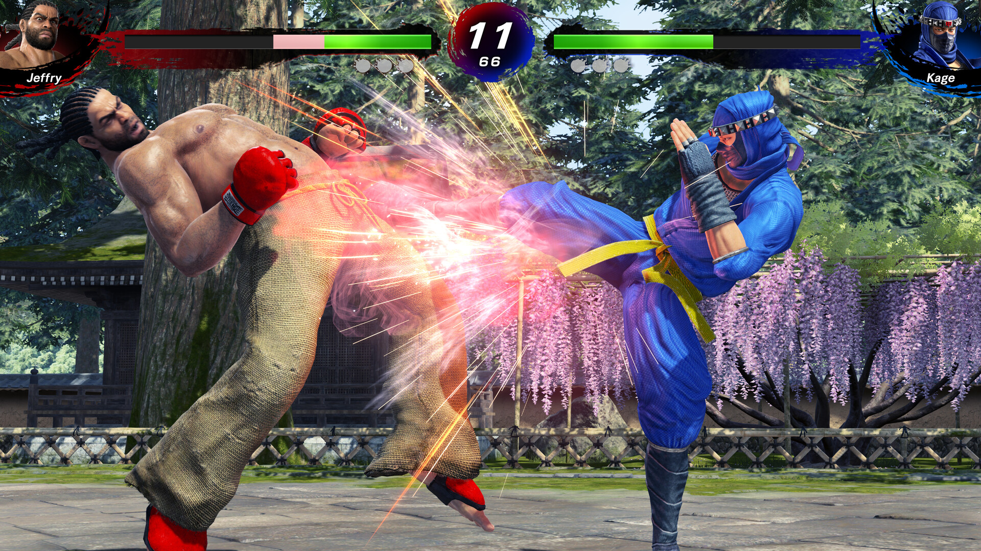 图片[3]-VR 战士 5 R.E.V.O. 世界舞台|Virtua Fighter 5 R.E.V.O. World Stage|1.10|整合全DLC-萌芽游戏