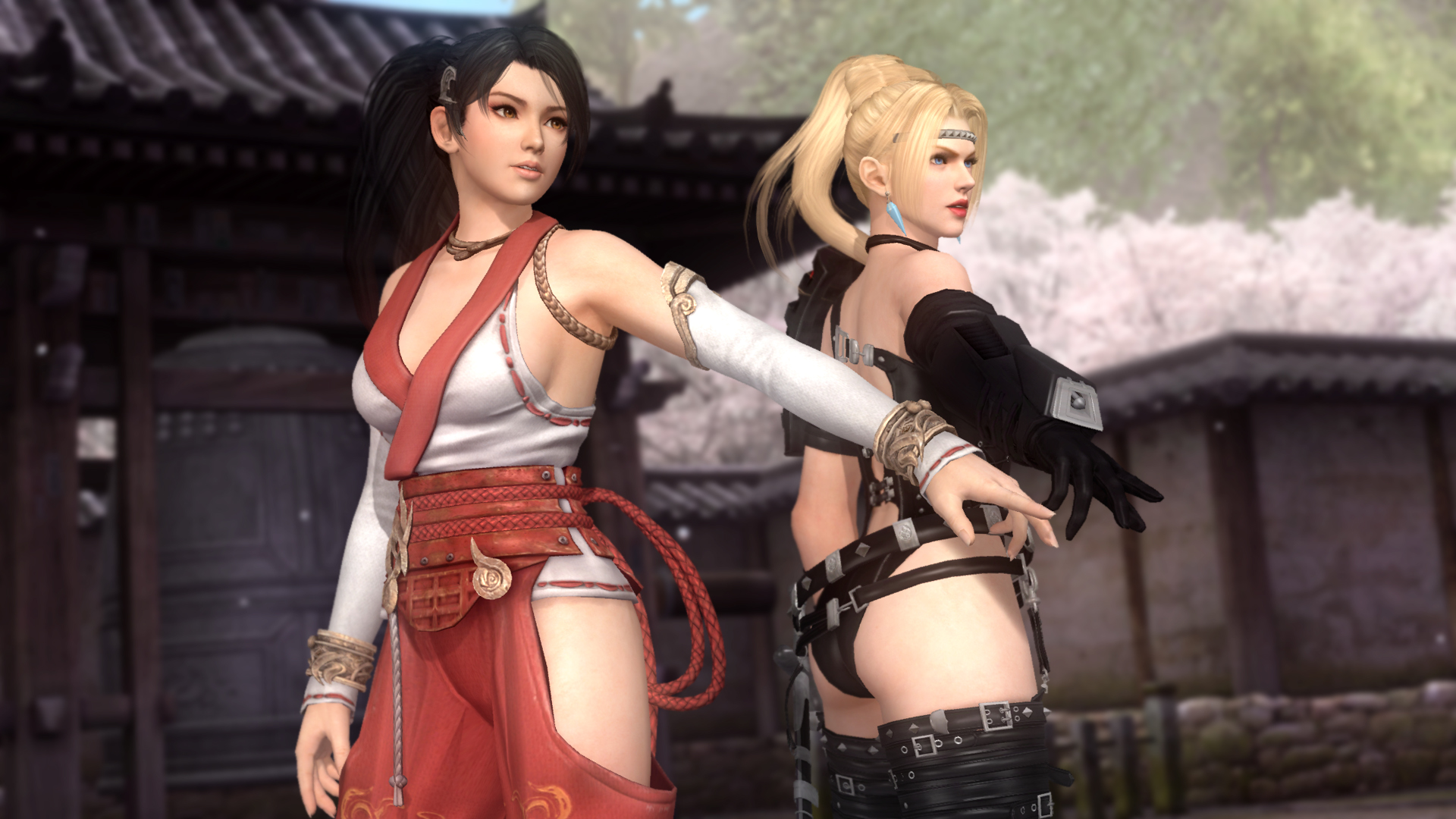 图片[4]-死或生5：最后一战|Dead or Alive 5 Last Round|1.10C|整合全DLC-萌芽游戏