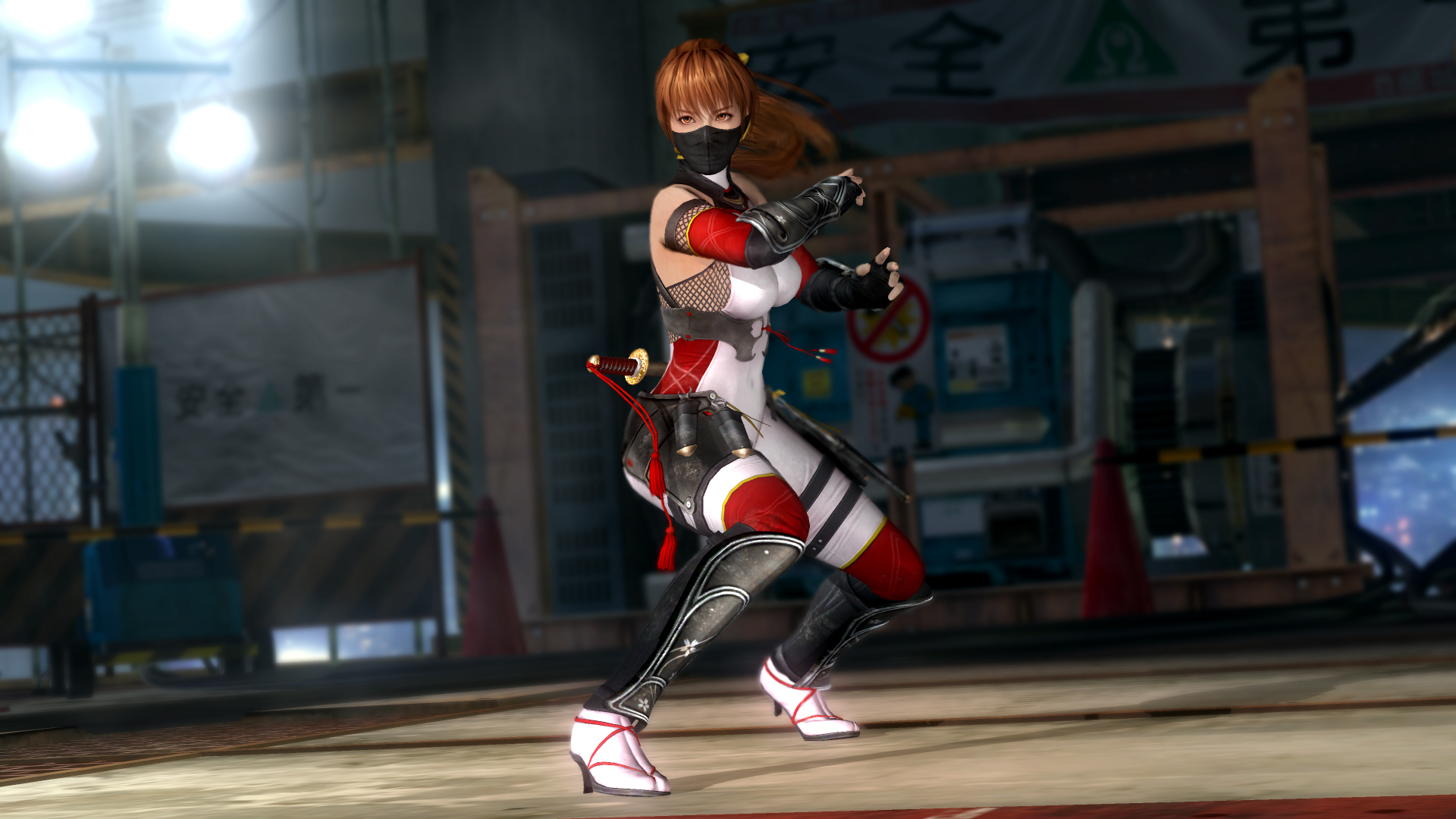 图片[13]-死或生5：最后一战|Dead or Alive 5 Last Round|1.10C|整合全DLC-萌芽游戏