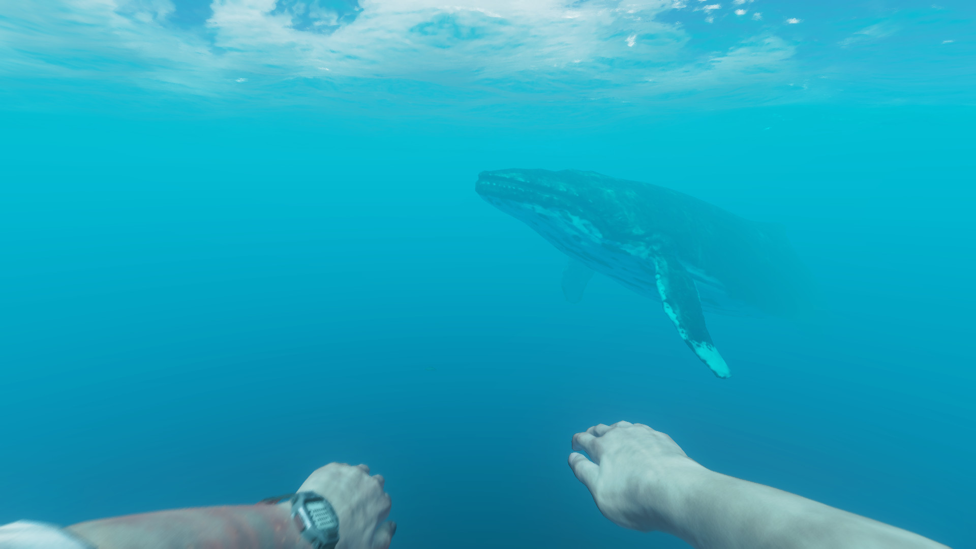 图片[23]-荒岛求生|Stranded Deep|1.0.6.0.17-萌芽游戏