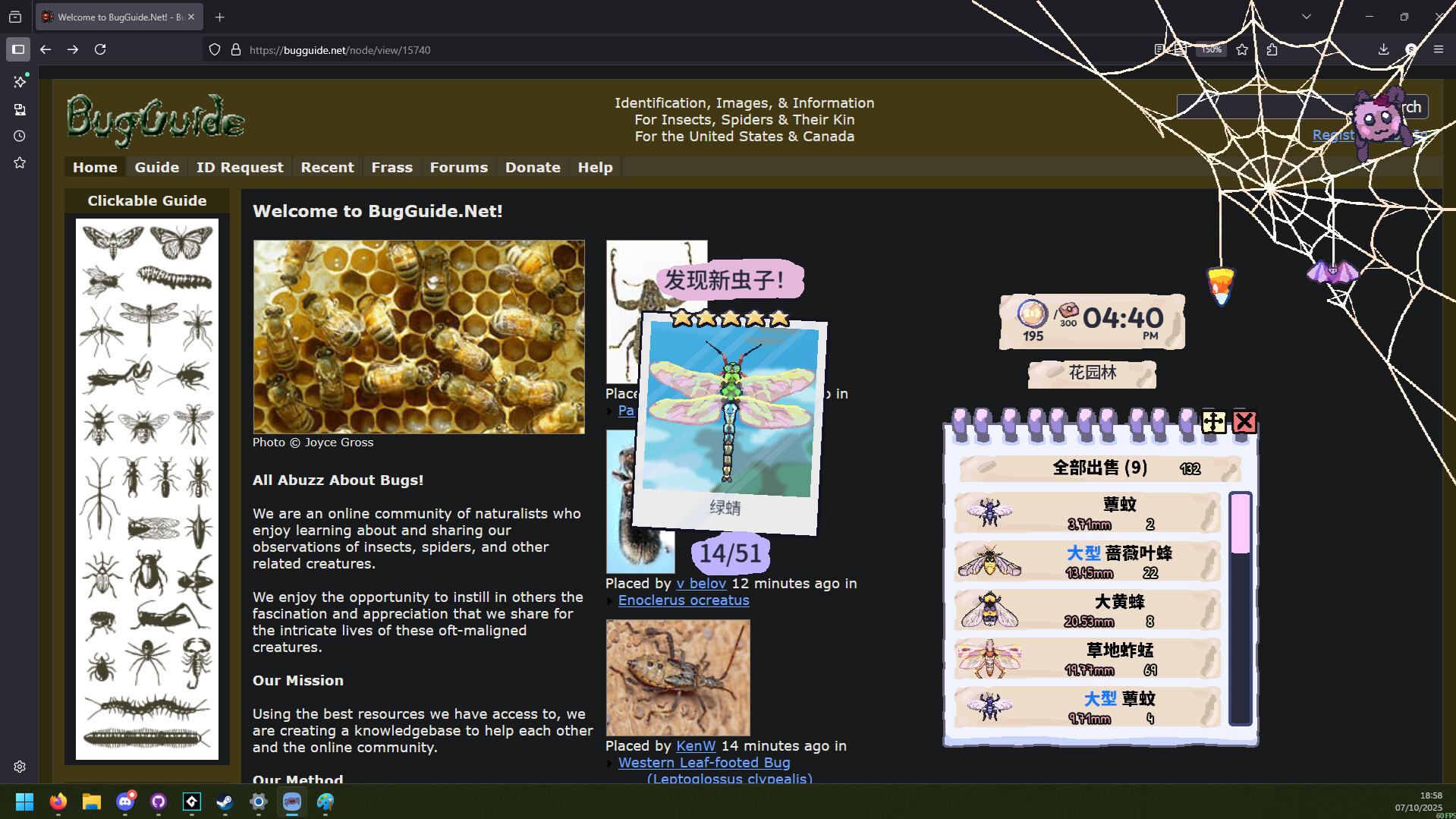 图片[4]-我的小小蜘蛛|My Little Spider|1.0.1-萌芽游戏