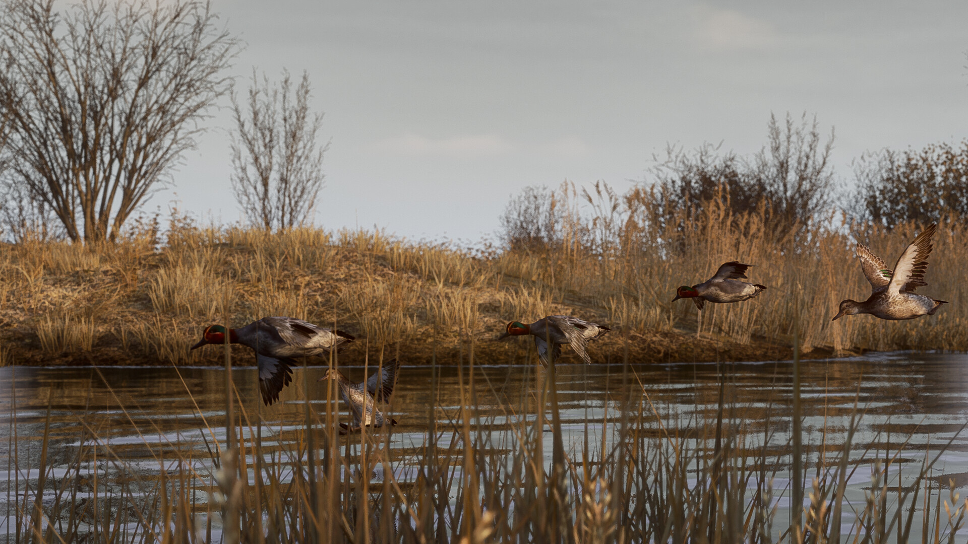 BULT: Hunting simulator 截图 13