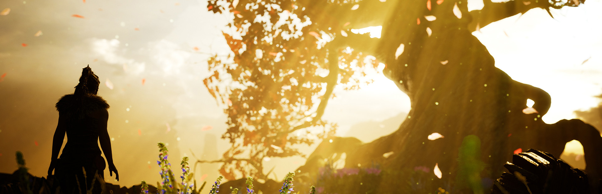 地狱之刃：塞娜的献祭|Hellblade Senuas Sacrifice|Build7800612