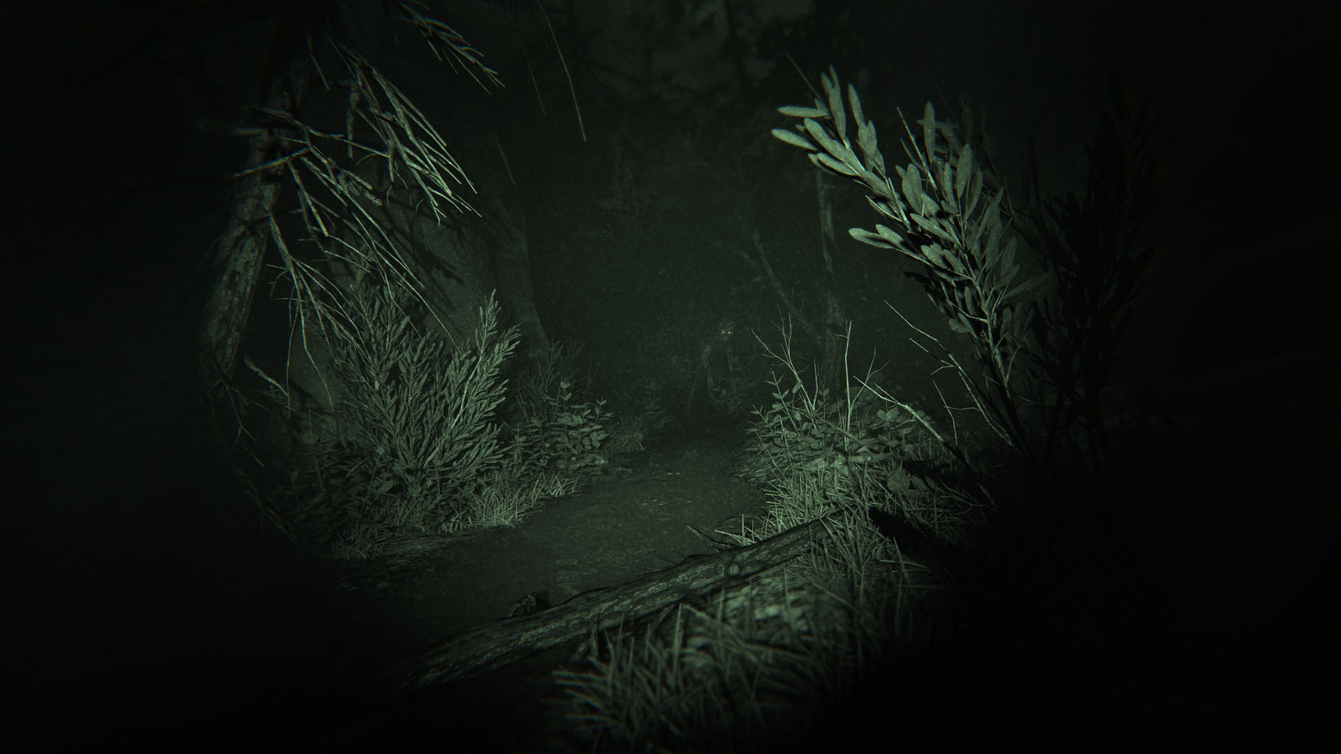 图片[19]-逃生2|Outlast 2|Build2601375-萌芽游戏
