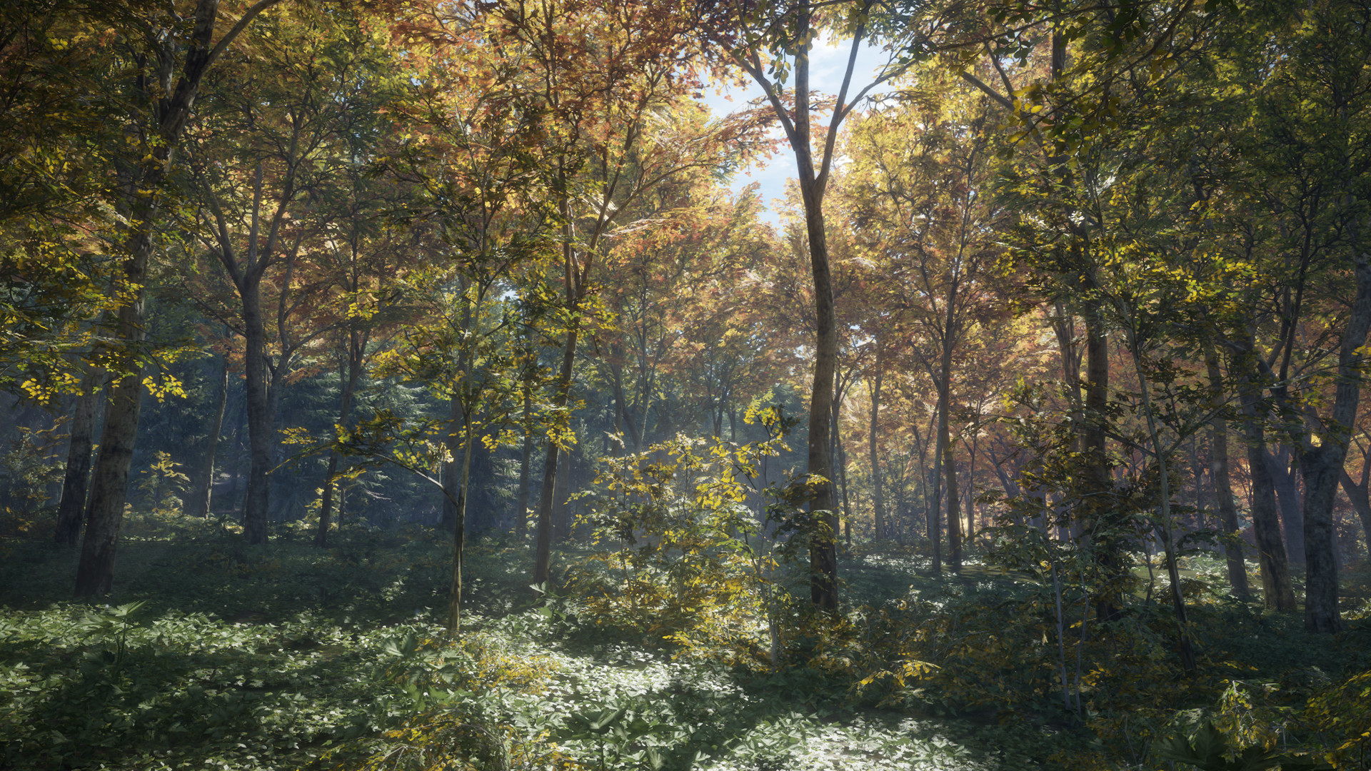 图片[23]-猎人：荒野的召唤|theHunter Call of The Wild|3139192|整合全DLC-萌芽游戏