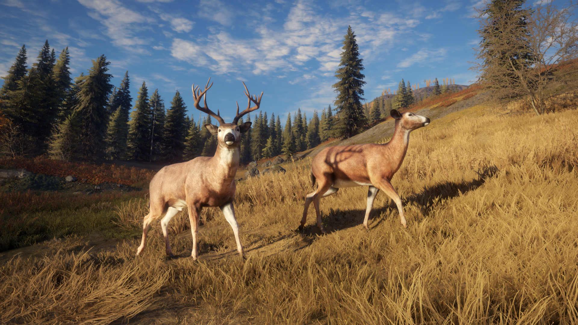 图片[10]-猎人：荒野的召唤|theHunter Call of The Wild|3139192|整合全DLC-萌芽游戏