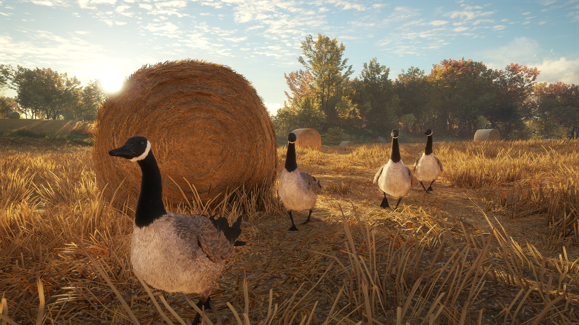 图片[11]-猎人：荒野的召唤|theHunter Call of The Wild|3139192|整合全DLC-萌芽游戏