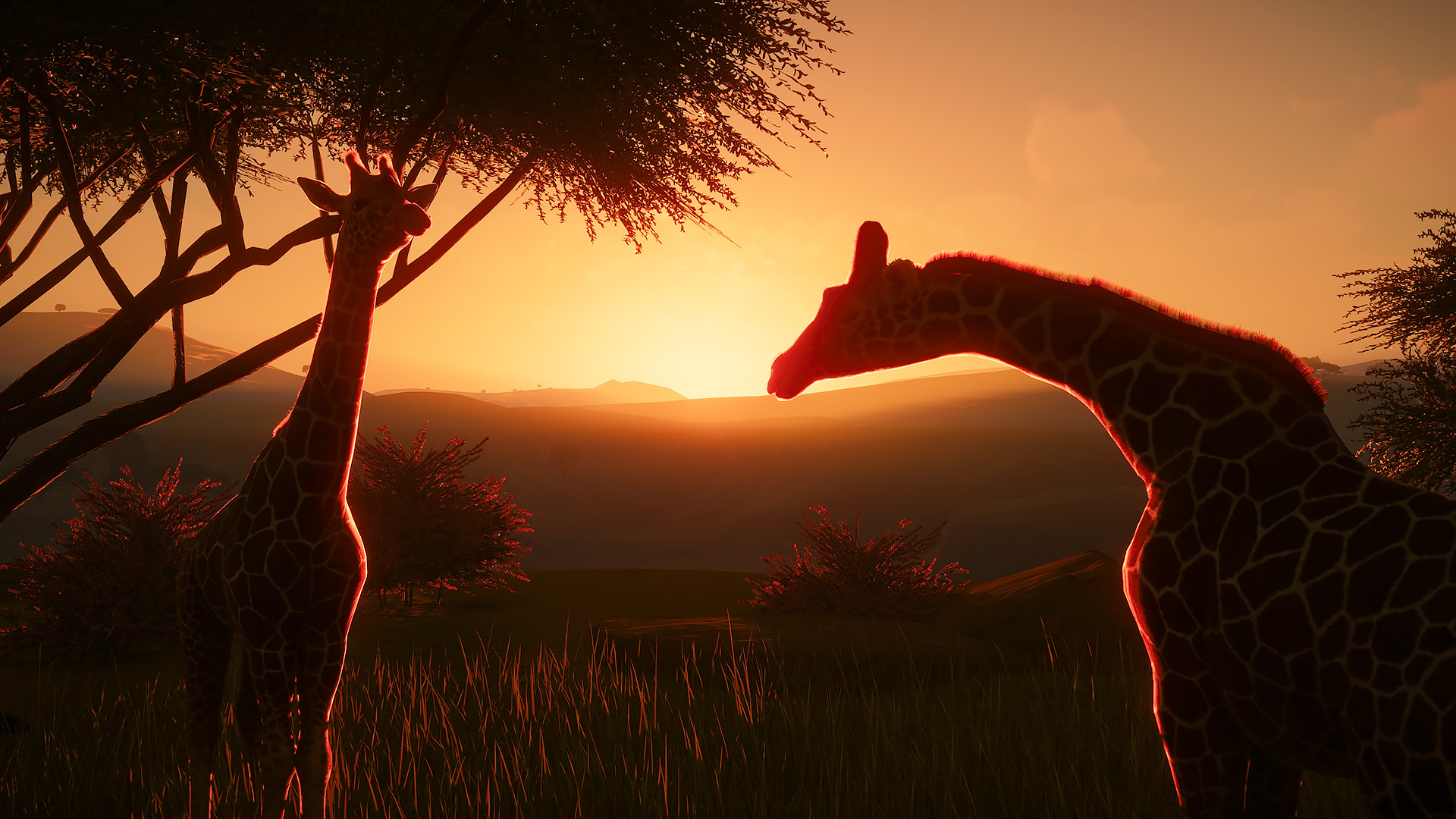 图片[21]-[虚拟机版]动物园之星|Planet Zoo|1.20.1|整合全DLC-萌芽游戏