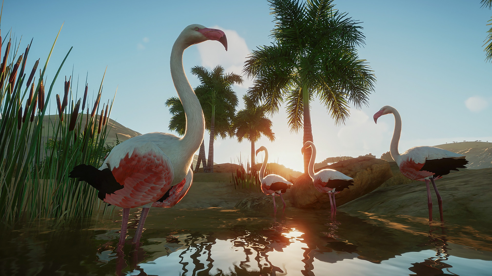 图片[23]-[虚拟机版]动物园之星|Planet Zoo|1.20.1|整合全DLC-萌芽游戏