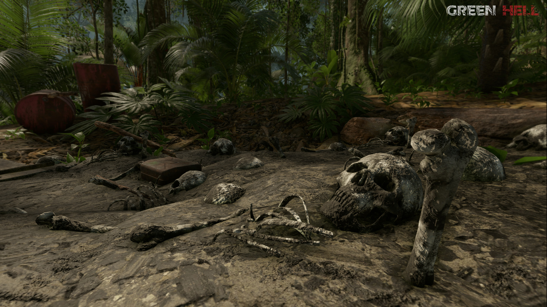 图片[27]-绿色地狱|Green Hell|2.9.4-萌芽游戏