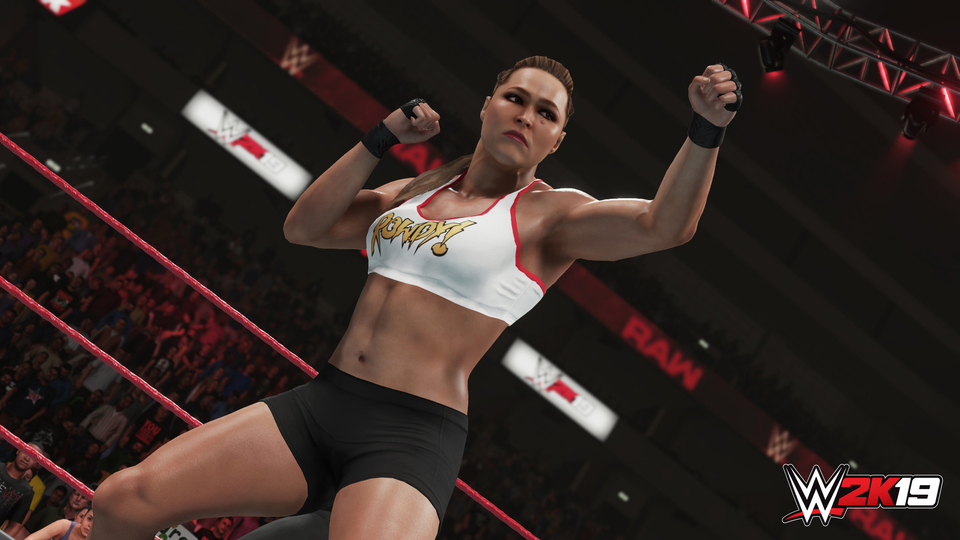 图片[1]-WWE 2K19|1.04|整合全DLC-萌芽游戏