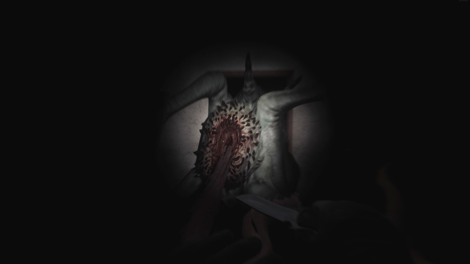 图片[5]-《SCP：大流行病(SCP: 5K)》[v0.16.0.72]单机版/联机版-火种游戏