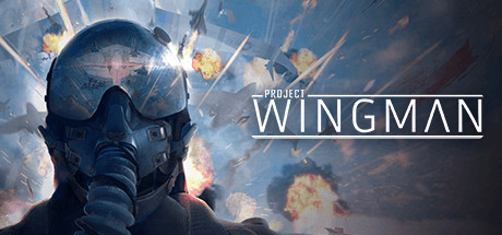 僚机计划|Project Wingman|2.1.1.A-萌芽游戏
